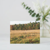 Landschaftspflege Postkarte (Stehend Vorderseite)