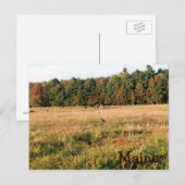 Landschaftspflege Postkarte (Vorne/Hinten)