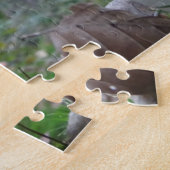 Landschaftsrätsel: Amanitas fliegen im Wald Puzzle (Seite)