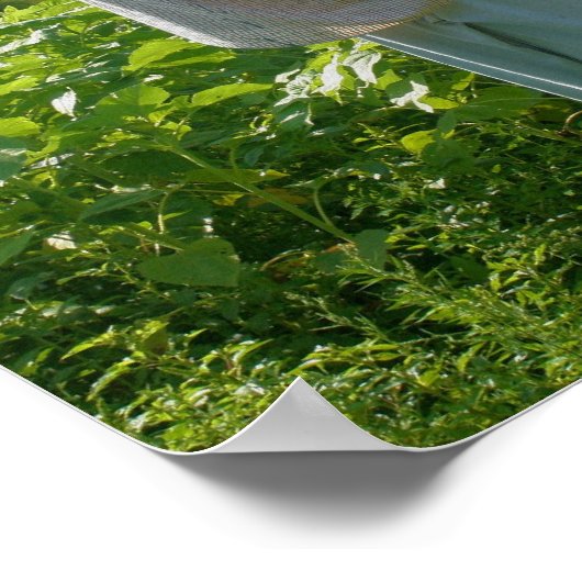 Landschaftsschutzgebiet Poster (Ecke)