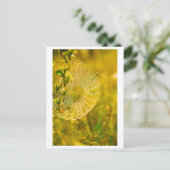 LandschaftsSpider Spiderweb Postkarte (Stehend Vorderseite)