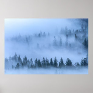 Landschaftswald der Luft im Nebel Poster