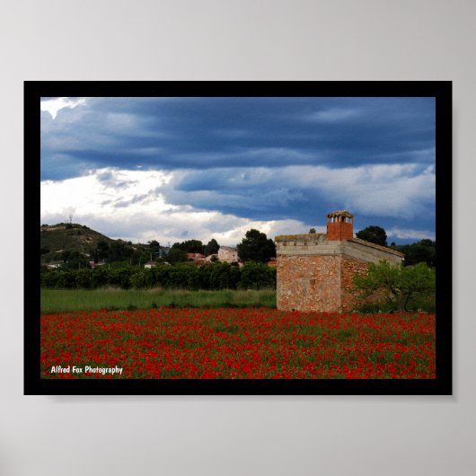 Landscheune im Mohnfeld Poster (Vorne)