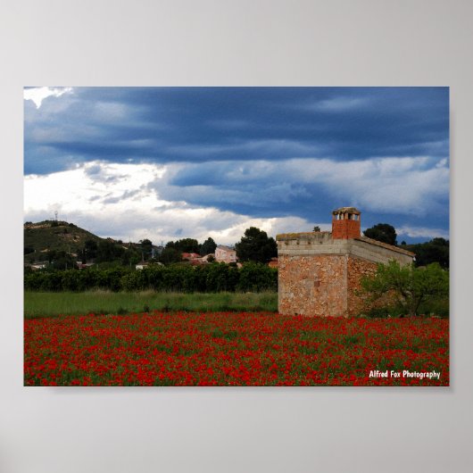 Landscheune im Mohnfeld Poster (Vorne)