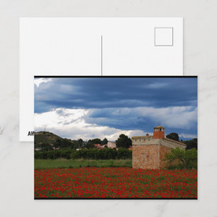 Landscheune im Mohnfeld Postkarte
