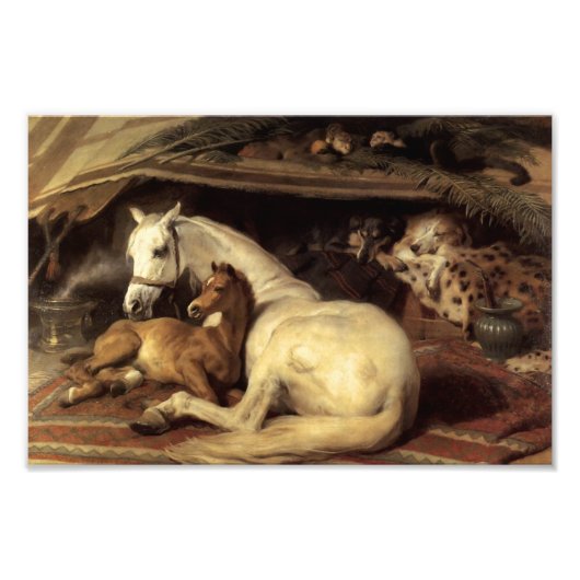 Landseer, das arabische Zelt Fotodruck (Vorne)
