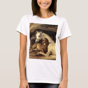 Landseer, das arabische Zelt T-Shirt