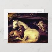 Landseer: Die arabischen Zelt-Pferde Ankündigungspostkarte (Vorne/Hinten)