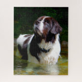 Landseer Hund. Puzzle (Vertikal)