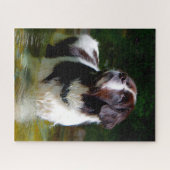 Landseer Hund. Puzzle (Horizontal)