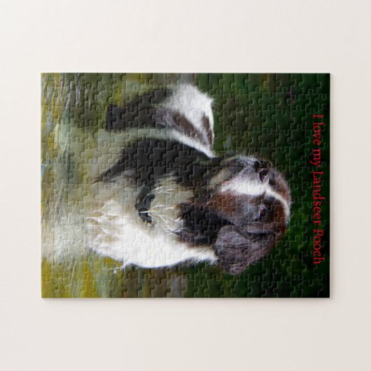 Landseer Hund. Puzzle (Horizontal)