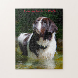 Landseer Hund. Puzzle