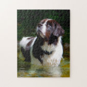 Landseer Hund. Puzzle (Vertikal)