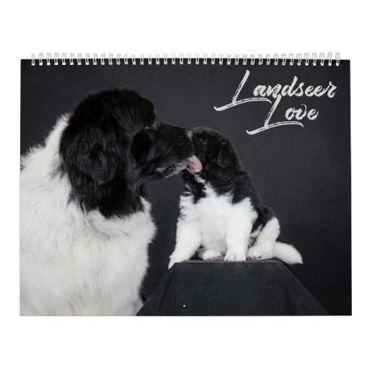 Landseer Liebe Kalender (Titelbild)