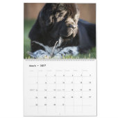 Landseer Liebe Kalender (Mär 2027)