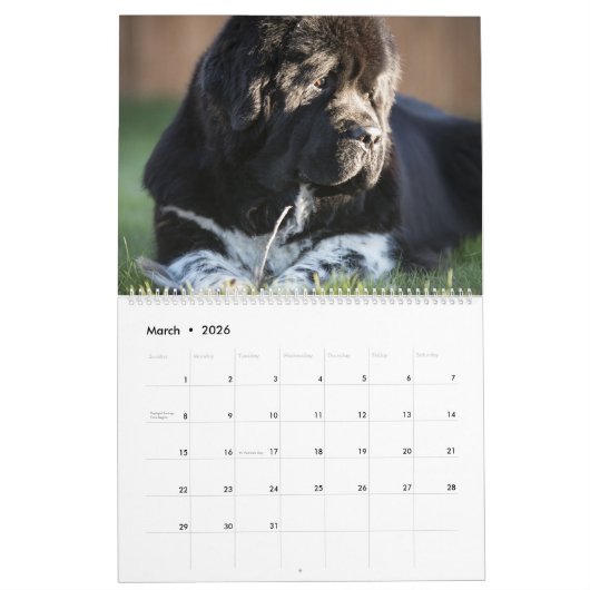 Landseer Liebe Kalender (Mär 2026)