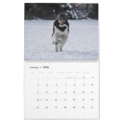 Landseer Liebe Kalender (Jan 2026)