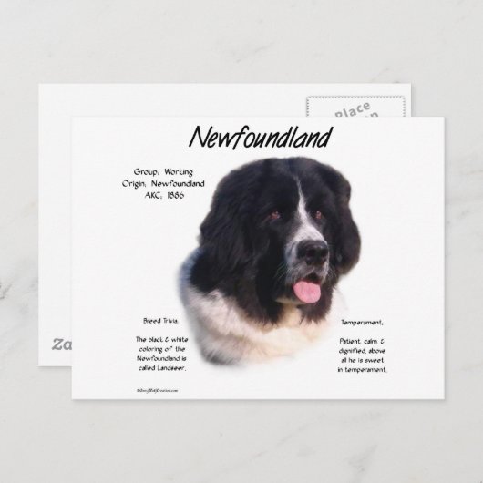 Landseer Neufundland Geschichte, I Liebe neu Postkarte (Vorne/Hinten)