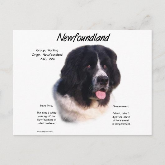 Landseer Neufundland Geschichte, I Liebe neu Postkarte (Vorderseite)