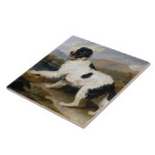 Landseer Neufundland Hund (Schwarzes und Weißes Ti Fliese (Seite)
