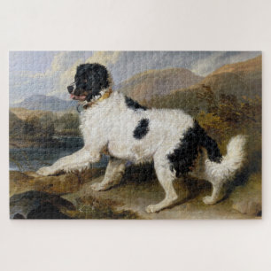 Landseer Neufundland Hund (Schwarzes und Weißes Ti Puzzle