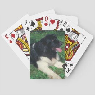 Landseer-Neufundland-Hunde-Spielkarten Spielkarten