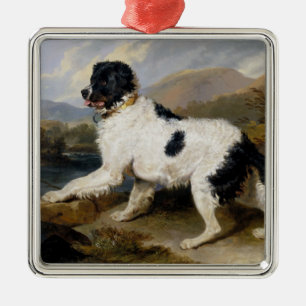 Landseer Neufundländer Hund (Schwarz-Weiß-Tier) Ornament Aus Metall