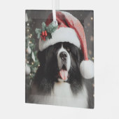 Landseer Newf in Funkelnd Weihnachtsmannmütze Ornament Aus Glas (Vorderseite links)