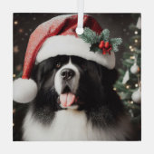 Landseer Newf in Funkelnd Weihnachtsmannmütze Ornament Aus Glas (Rückseite)