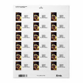 Landseer Pferde Adressaufkleber (Vorne)