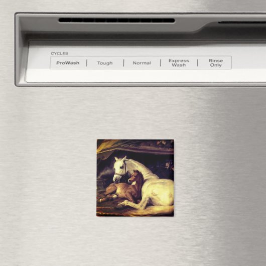 Landseer Pferde Magnet (In Situ (Geschirrspüler))