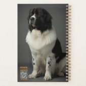 Landseer Planer (Rückseite)