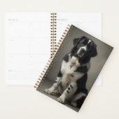 Landseer Planer (Anzeige)