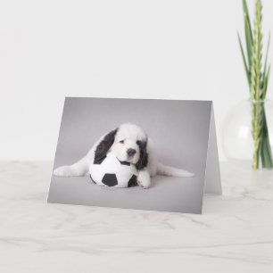 Landseer Welpe Karte