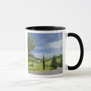 Landstraße, die sich zwischen Zypressen hindurch w Tasse