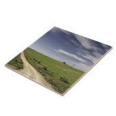 Landstraße, die zwischen Weizenfeldern twining Fliese (Seite)