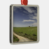 Landstraße, die zwischen Weizenfeldern twining Silbernes Ornament (Rechts)