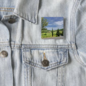 Landstraße, die zwischen Zypressenbäumen in Button (Beispiel)