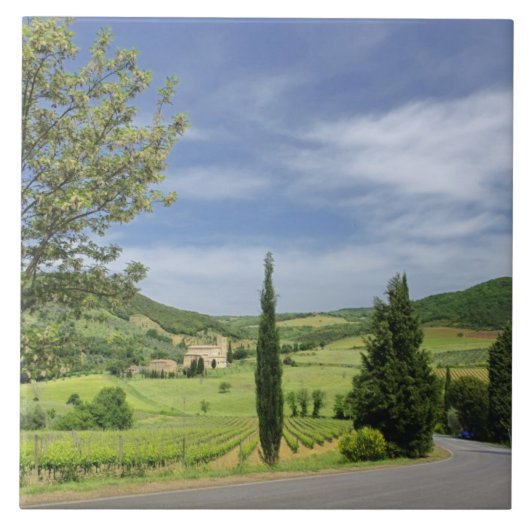 Landstraße, die zwischen Zypressenbäumen in Fliese (Vorderseite)