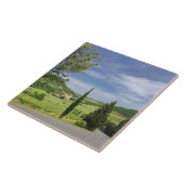 Landstraße, die zwischen Zypressenbäumen in Fliese (Seite)