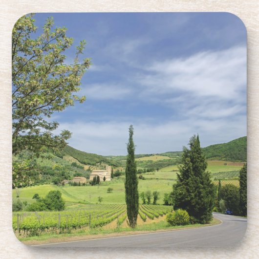 Landstraße, die zwischen Zypressenbäumen in Getränkeuntersetzer (Vorderseite)