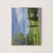 Landstraße, die zwischen Zypressenbäumen in Puzzle (Vertikal)