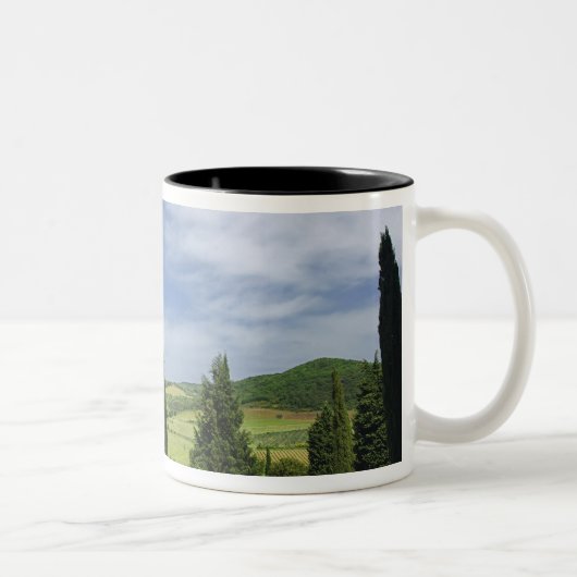 Landstraße, die zwischen Zypressenbäumen in Zweifarbige Tasse (Rechts)