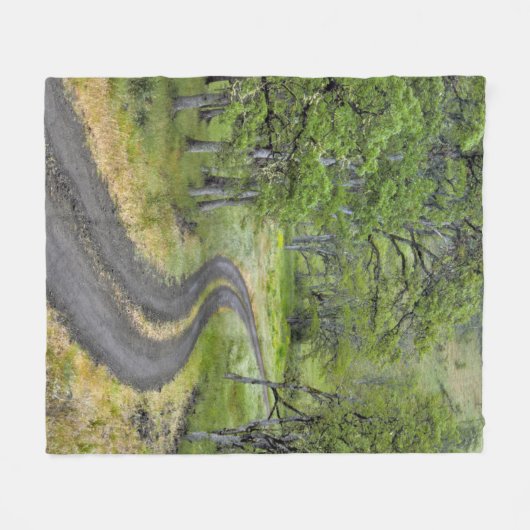 Landstraße durch Bäume, Oregon Fleecedecke (Vorderseite (Horizontal))