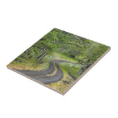 Landstraße durch Bäume, Oregon Fliese (Seite)