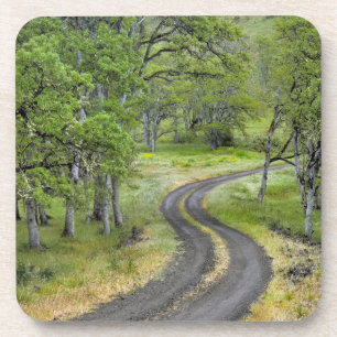 Landstraße durch Bäume, Oregon Getränkeuntersetzer