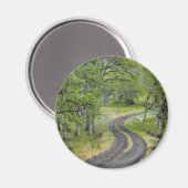 Landstraße durch Bäume, Oregon Magnet (Vorderseite/Rückseite)