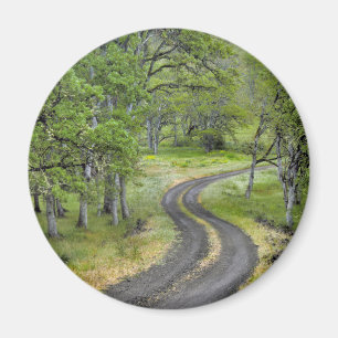 Landstraße durch Bäume, Oregon Magnet