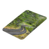 Landstraße durch Bäume, Oregon Magnet (Linke Seite)