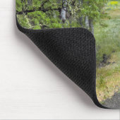 Landstraße durch Bäume, Oregon Mousepad (Ecke)